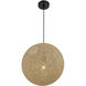 Entwined 1 Light 16 inch Coal Pendant Ceiling Light